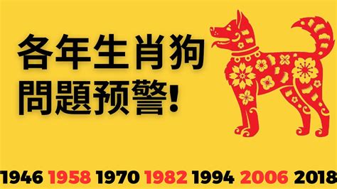 屬狗運勢2023|【屬狗2023生肖運勢】事業運吉凶參半，桃花運節節。